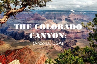 THE COLORADO
CANYON:
(Arizona, USA)
:
 