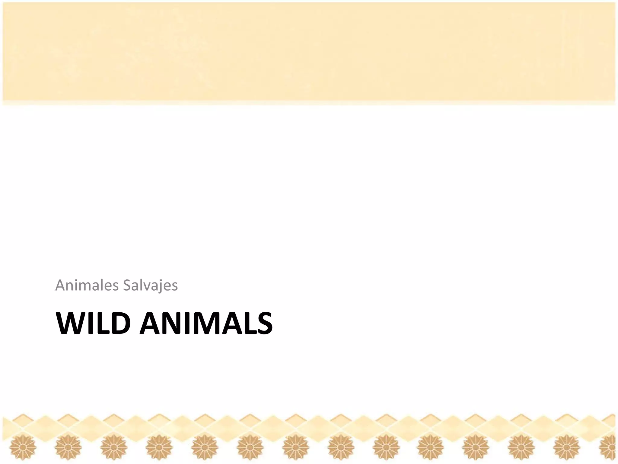 WILD ANIMALS Animales Salvajes