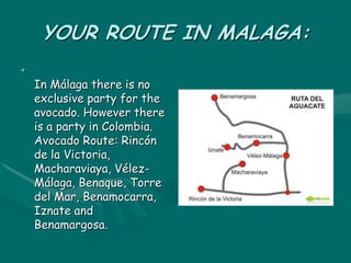 YOUR ROUTE IN MALAGA:
•
In Málaga there is no
exclusive party for the
avocado. However there
is a party in Colombia.
Avocado Route: Rincón
de la Victoria,
Macharaviaya, Vélez-
Málaga, Benaque, Torre
del Mar, Benamocarra,
Iznate and
Benamargosa.
 