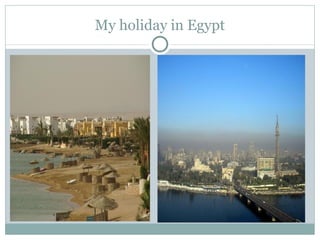 My holiday in Egypt 