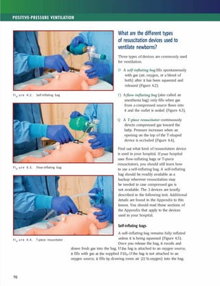 Flow Inflating Bagh Comprehensive Neonatal Resuscitation Program: Foundations and Practices ...