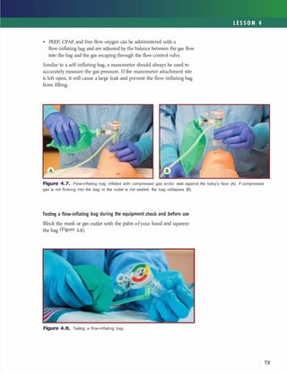 Comprehensive Neonatal Resuscitation Program: Foundations and Practices ...