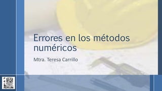 Errores en los métodos
numéricos
Mtra. Teresa Carrillo
 