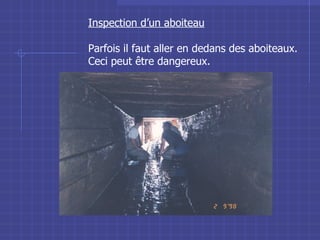Inspection d’un aboiteau Parfois il faut aller en dedans des aboiteaux. Ceci peut être dangereux. 