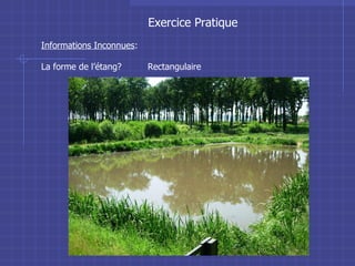 Exercice Pratique Informations Inconnues : La forme de l’étang?  Rectangulaire 