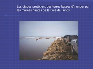 Les digues protègent des terres basses d’inonder par les marées hautes de la Baie de Fundy. 