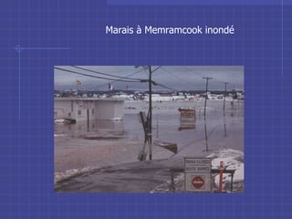 Marais à Memramcook inondé 