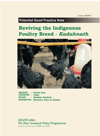 Code: INGP04

Potential Good Practice Note

Reviving the Indigenous
Poultry Breed - Kadaknath




REGION    :     South Asia
COUNTRY :       India
STATE     :     Madhya Pradesh
DISTRICTS :     Barwani, Dhar & Jhabua




SOUTH ASIA
Pro Poor Livestock Policy Programme
A joint initiative of NDDB and FAO
 