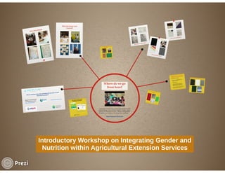 Introductory Workshop on Integrating Gender and Nutrition within Agricultural Extension Services