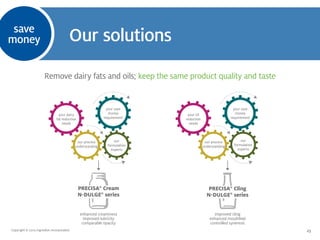 Innovative Ingredient Solutions in Dressings, Marinades and Sauces
