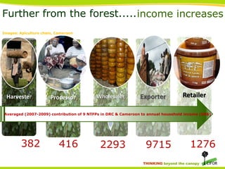 Further from the forest..... income increases
Images: Apiculture chain, Cameroon

Harvester

Processor

Wholesaler

Exporter

Retailer

Averaged (2007-2009) contribution of 9 NTFPs in DRC & Cameroon to annual household income (US$)

382

416

2293

9715

1276

THINKING beyond the canopy

 