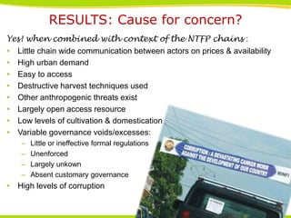 RESULTS: Cause for concern?
Yes! when combined with context of the NTFP chains :
• Little chain wide communication between actors on prices & availability
• High urban demand
• Easy to access
• Destructive harvest techniques used
• Other anthropogenic threats exist
• Largely open access resource
• Low levels of cultivation & domestication
• Variable governance voids/excesses:
–
–
–
–

Little or ineffective formal regulations
Unenforced
Largely unkown
Absent customary governance

• High levels of corruption
THINKING beyond the canopy

 