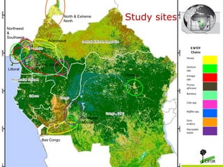 North & Extreme
North
Northwest
&
Southwest

Study sites

Adamaoua
9 NTFP
Chains
Honey

Littoral

Centre, South,
East

Gnetum
spp.

Oriental

Irvingia
spp.
Prunus
africana

Bamboo
Cola spp.
Raffiia spp.

Bandundu
&Équateur

Gum
arabica
Dacryodes
edulis

Bas Congo
xxxxxxx
xxxxxxx
THINKING beyond the xx
canopy

 