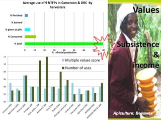 Average use of 9 NTFPs in Cameroon & DRC by
harvesters

Values

% Perished
% barterd
% given as gifts
% Consumed
% Sold
0

10

20

30

40

50

% of total production

60

70

12

Multiple values score
10

Number of uses

80

Subsistence
&
income

08

Score

06
04
02
00

Apiculture: Beeswax

THINKING beyond the canopy

 