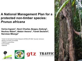 A National Management Plan for a
protected non-timber species:
Prunus africana
Verina Ingram1, Henri Charles Akagou Zedong2,
Nouhou Ndam3, Abdon Awono1, Yanek Decleire4,
Narcisse Mbarga5
1

Center for International Forestry Research (CIFOR), BP 2008, Yaounde, Cameroon
Ministry of Forestry and Wildlife
3 TRAFFIC Central Africa
4 GTZ ProPSFE
5 ANAFOR
2

 