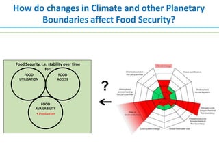 Food systems, food security and environmental change | PPTX