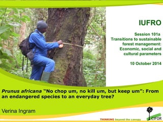 IUFRO 
Session 101a 
Transitions to sustainable 
forest management: 
Economic, social and 
cultural parameters 
10 October 2014 
Prunus africana “No chop um, no kill um, but keep um”: From 
an endangered species to an everyday tree? 
THINKING THINKING be yboenydo nthde t hcea ncoapnyopy 
Verina Ingram 
 