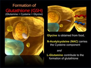 gxl glutathione Ingredients of max gxl