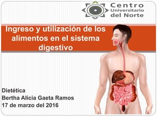 Dietética
Bertha Alicia Gaeta Ramos
17 de marzo del 2016
Ingreso y utilización de los
alimentos en el sistema
digestivo
 
