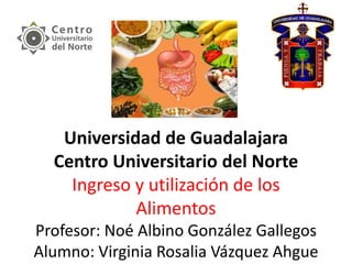 Universidad de Guadalajara
Centro Universitario del Norte
Ingreso y utilización de los
Alimentos
Profesor: Noé Albino González Gallegos
Alumno: Virginia Rosalia Vázquez Ahgue
 