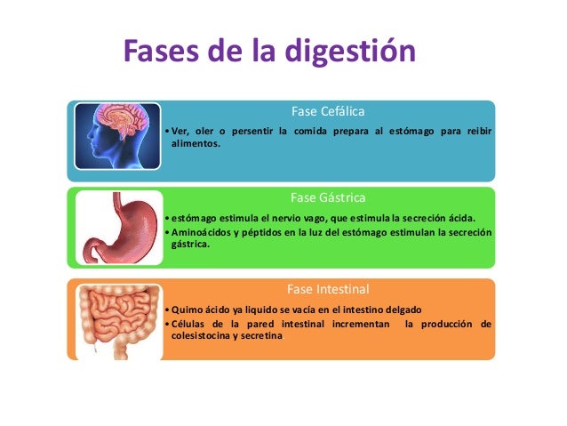 Ingreso y utilización de los alimentos [recovered]