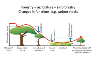 Multifunctionality of agroforestry systems: Can integration of trees on ...