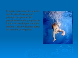 El agua es un elemento esencial para la vida. Constituye el principal componente del protoplasma celular y representa los dos tercios del peso total del hombre y hasta 9 décimas partes del peso de los vegetales.