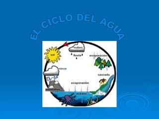 EL CICLO DEL AGUA