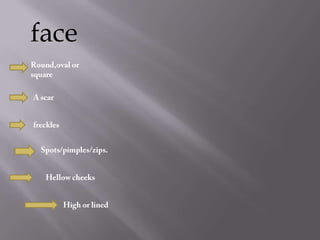 eyebrows, bushyeyebrowseyesColour:blue/brown/greeneyes,eyed.bags under, his/her eyes,bloodshot eyes.Slantedeyescross-eyed a squinta blackeye