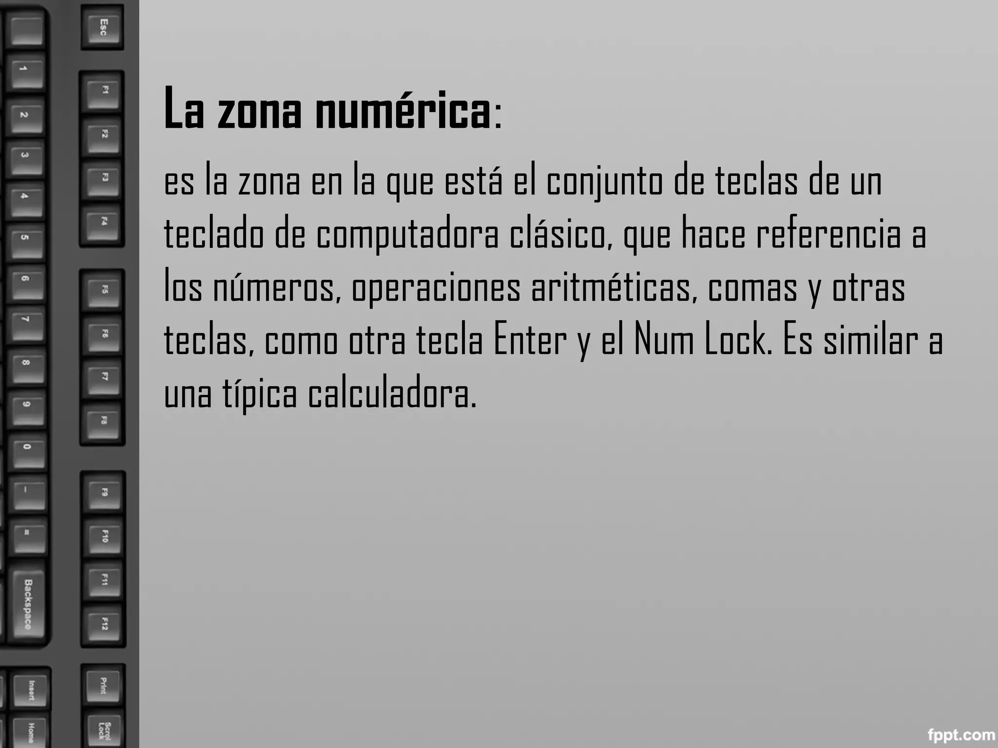 La zona numérica:
es la zona en la que está el conjunto de teclas de un
teclado de computadora clásico, que hace referencia a
los números, operaciones aritméticas, comas y otras
teclas, como otra tecla Enter y el Num Lock. Es similar a
una típica calculadora.
 