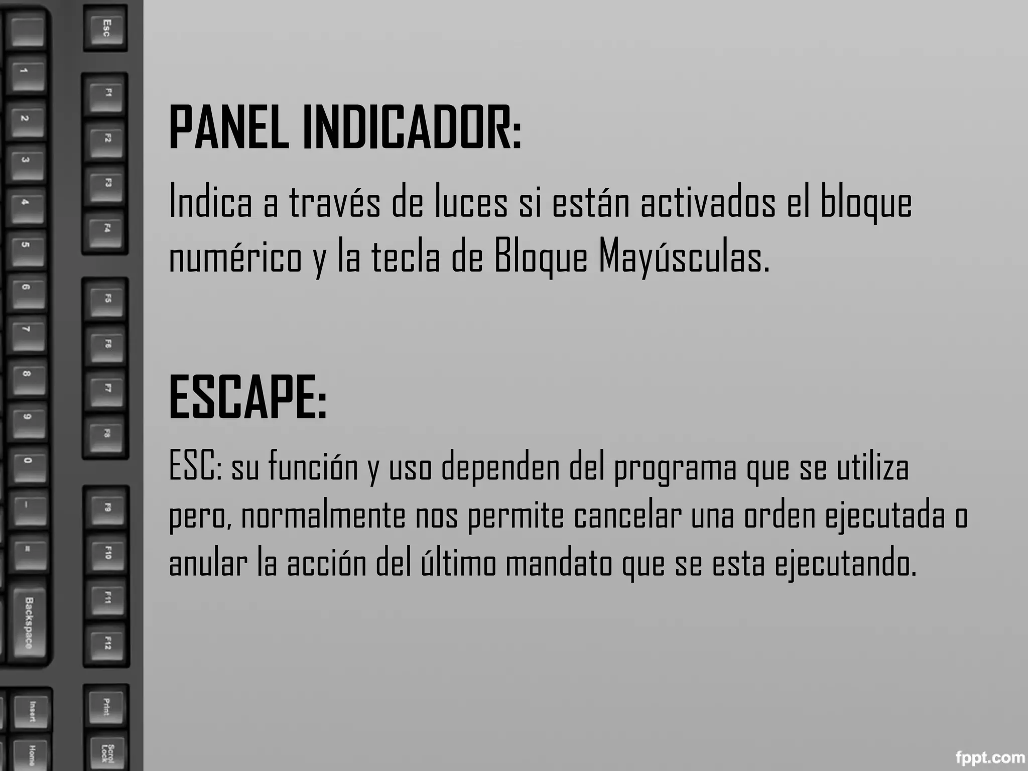 PANEL INDICADOR:
Indica a través de luces si están activados el bloque
numérico y la tecla de Bloque Mayúsculas.
ESCAPE:
ESC: su función y uso dependen del programa que se utiliza
pero, normalmente nos permite cancelar una orden ejecutada o
anular la acción del último mandato que se esta ejecutando.
 