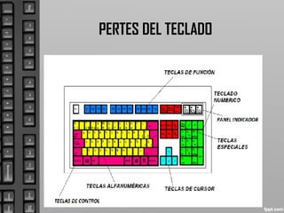 PERTES DEL TECLADO
 
