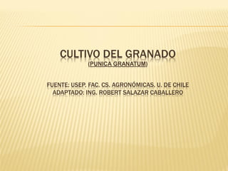 CULTIVO DEL GRANADO
(PUNICA GRANATUM)
FUENTE: USEP. FAC. CS. AGRONÓMICAS. U. DE CHILE
ADAPTADO: ING. ROBERT SALAZAR CABALLERO
 