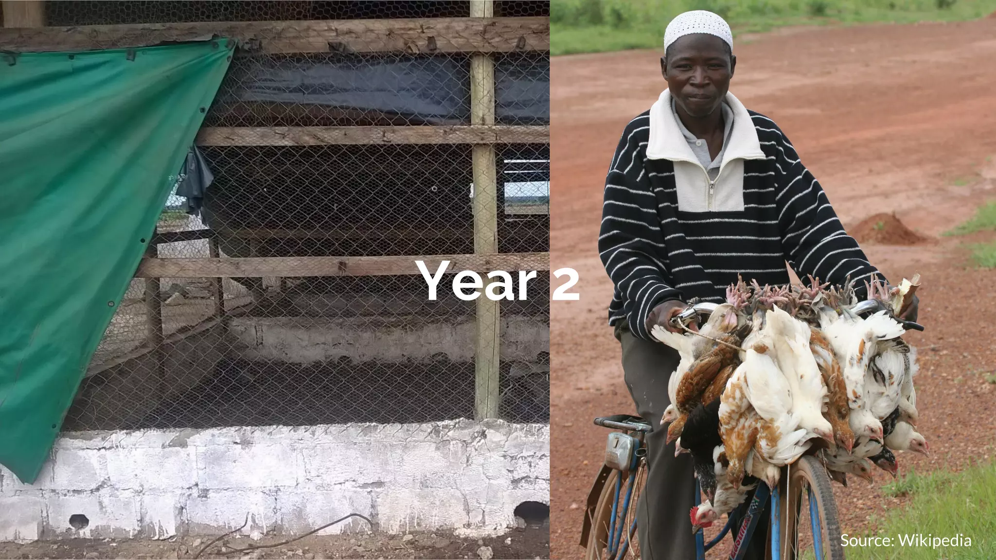 Source: Wikipedia
Year 2
 