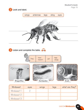41
Unit 6 • Minibeasts
2
3
Look and label.
Listen and complete the table. 14
Student's book
Page 78
wings antennae legs sting eyes
Minibeast
Minibeast eyes
eyes wings
wings legs
legs what are they?
what are they?
Minibeast 1 2
Minibeast 2
Minibeast 3
Dragonflies Centipedes Snails
They
have
got
legs.
haven't		 wings.
 