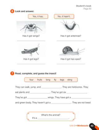 43
Unit 6 • Minibeasts
Student's book
Page 80
6
7
Look and answer.
Read, complete, and guess the insect!
four fruits long fly legs sting
Yes, it has. No, it hasn't.
They can walk, jump, and . They are herbivores. They
eat plants and . They've got six .
They've got wings. They have got a
and green body. They haven't got a . They are not bees!
What's the animal?
It's a .
Has it got wings?
Has it got legs?
Has it got antennae?
Has it got two eyes?
 