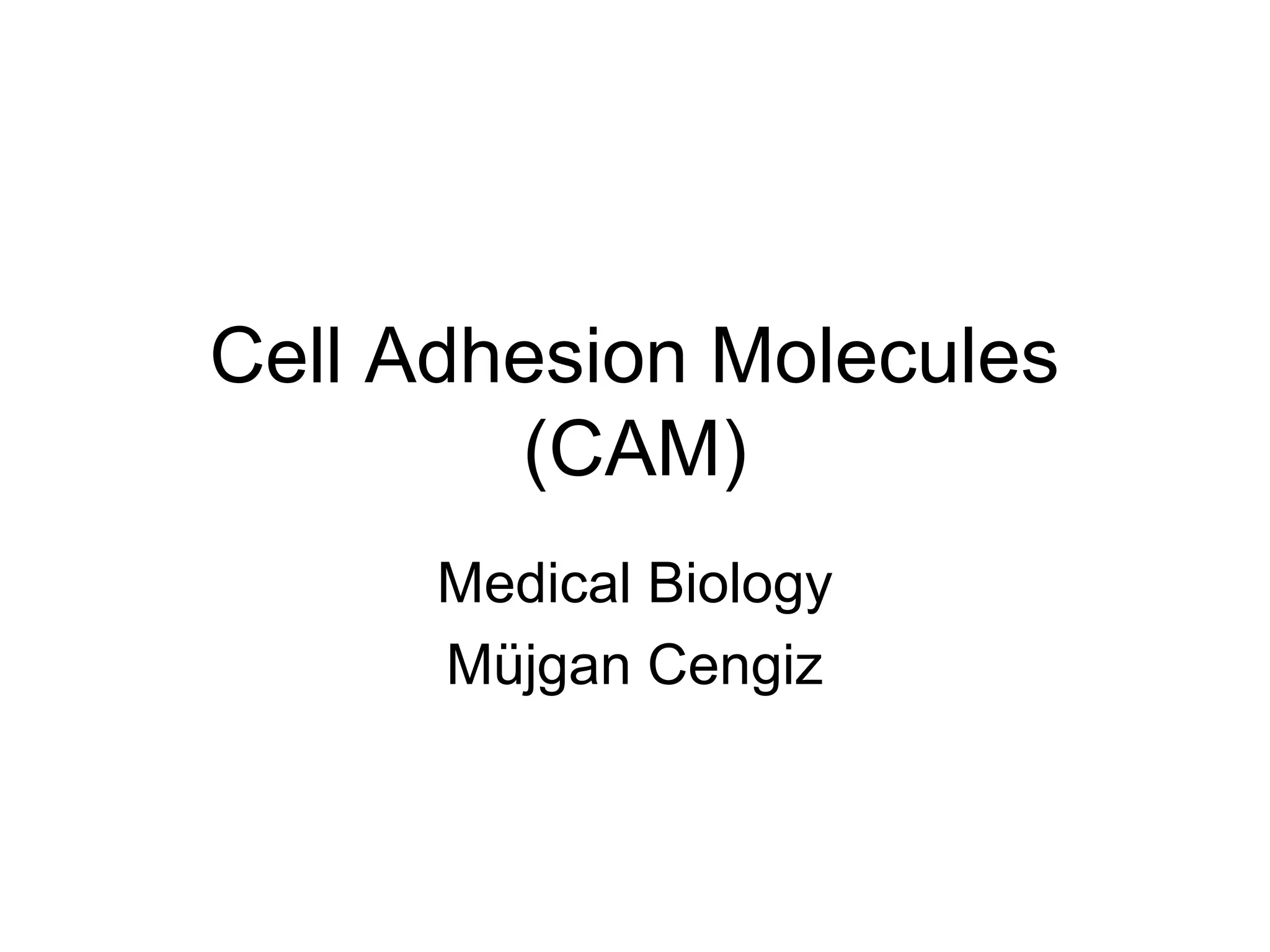 Cell Adhesion Molecules
(CAM)
Medical Biology
Müjgan Cengiz

 