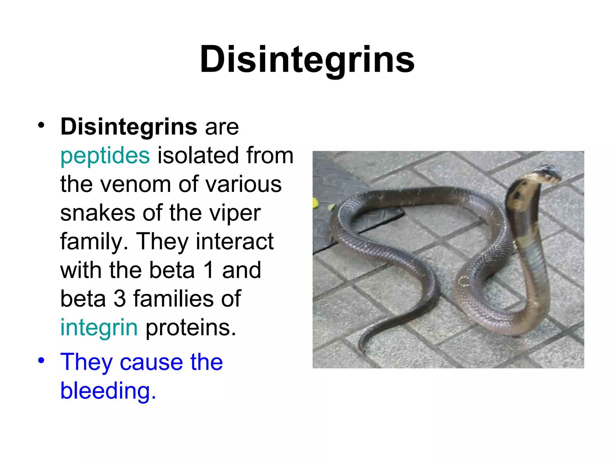 Disintegrins
• Disintegrins are
peptides isolated from
the venom of various
snakes of the viper
family. They interact
with the beta 1 and
beta 3 families of
integrin proteins.
• They cause the
bleeding.

 