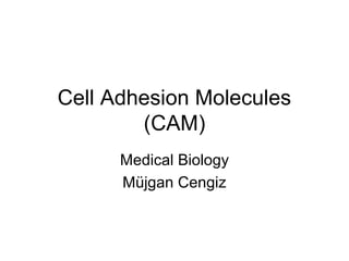 Cell Adhesion Molecules
(CAM)
Medical Biology
Müjgan Cengiz

 