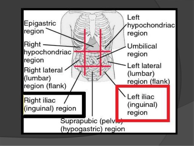 INGUINAL REGION