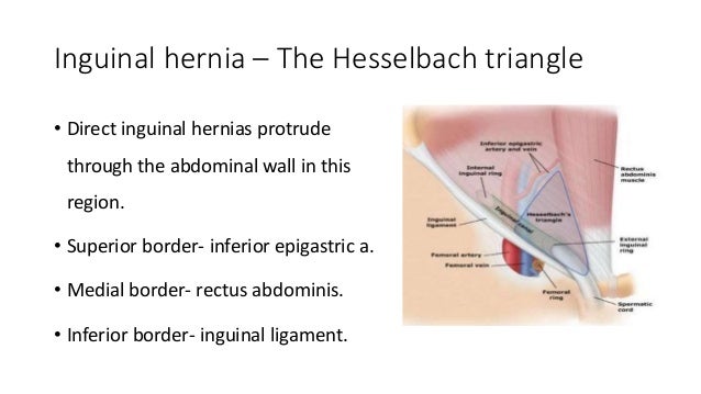 Inguinal and femoral hernia