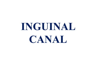 INGUINAL
CANAL
 