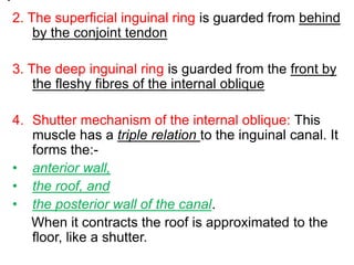 2. The superficial inguinal ring is guarded from behind
by the conjoint tendon
3. The deep inguinal ring is guarded from the front by
the fleshy fibres of the internal oblique
4. Shutter mechanism of the internal oblique: This
muscle has a triple relation to the inguinal canal. It
forms the:-
• anterior wall,
• the roof, and
• the posterior wall of the canal.
When it contracts the roof is approximated to the
floor, like a shutter.
 