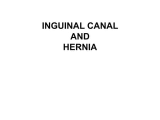 INGUINAL CANAL
AND
HERNIA
 
