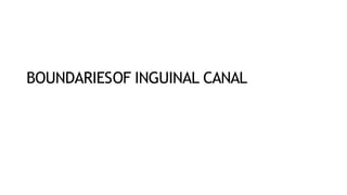 BOUNDARIESOF INGUINAL CANAL
 