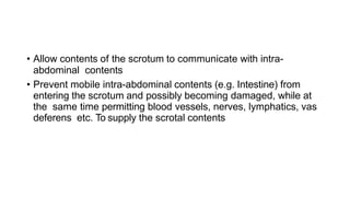 • Allow contents of the scrotum to communicate with intra-
abdominal contents
• Prevent mobile intra-abdominal contents (e.g. Intestine) from
entering the scrotum and possibly becoming damaged, while at
the same time permitting blood vessels, nerves, lymphatics, vas
deferens etc. To supply the scrotal contents
 