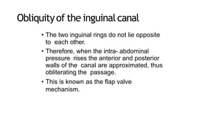 Obliquityof the inguinalcanal
• The two inguinal rings do not lie opposite
to each other.
• Therefore, when the intra- abdominal
pressure rises the anterior and posterior
walls of the canal are approximated, thus
obliterating the passage.
• This is known as the flap valve
mechanism.
 