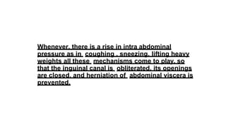 Whenever, there is a rise in intra abdominal
pressure as in coughing , sneezing, lifting heavy
weights all these mechanisms come to play, so
that the inguinal canal is obliterated, its openings
are closed, and herniation of abdominal viscera is
prevented.
 