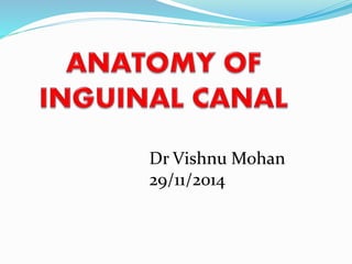 surgical anatomy Inguinal canal anatomy dr.vishnu