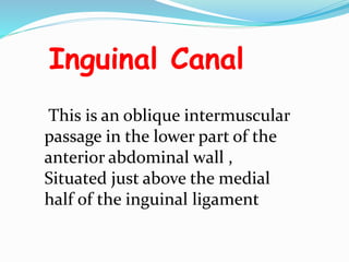 surgical anatomy Inguinal canal anatomy dr.vishnu